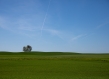 A photo of nature 